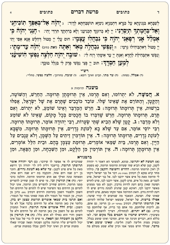 רב טקסט
