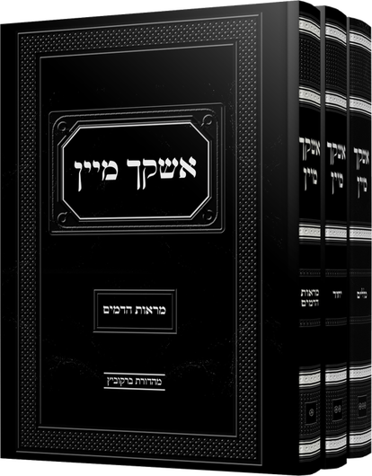 תיאור התמונה