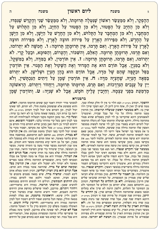 רב טקסט