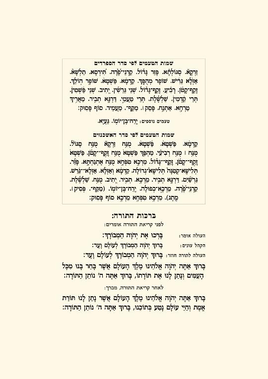 חומש עם ביאור מילי דאורייתא - עמוד 3 לדוגמה