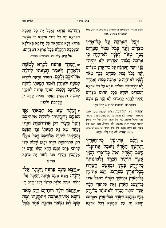 שנים מקרא - עמוד 4 לדוגמה