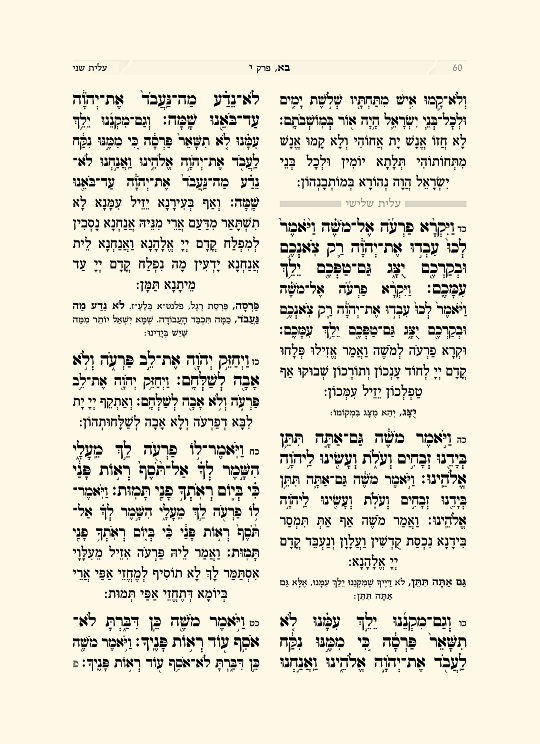 שנים מקרא - עמוד 6 לדוגמה