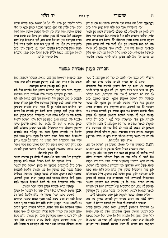 יד הלוי - עמוד 14 לדוגמה